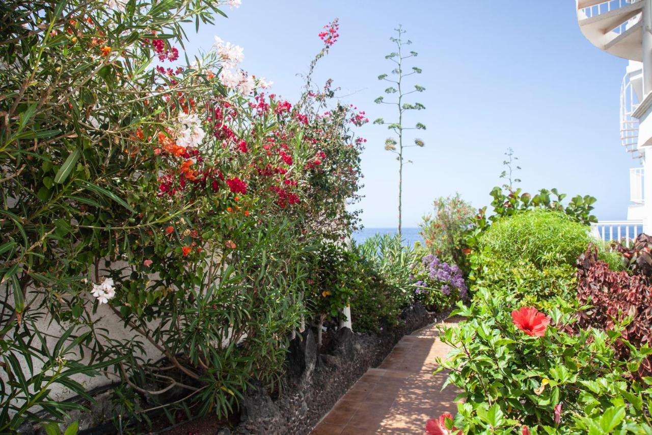 Luxury Princesa Holiday Home Puerto de Santiago  Exterior photo